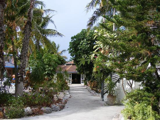 Turtle Cove Inn Kültér fotó